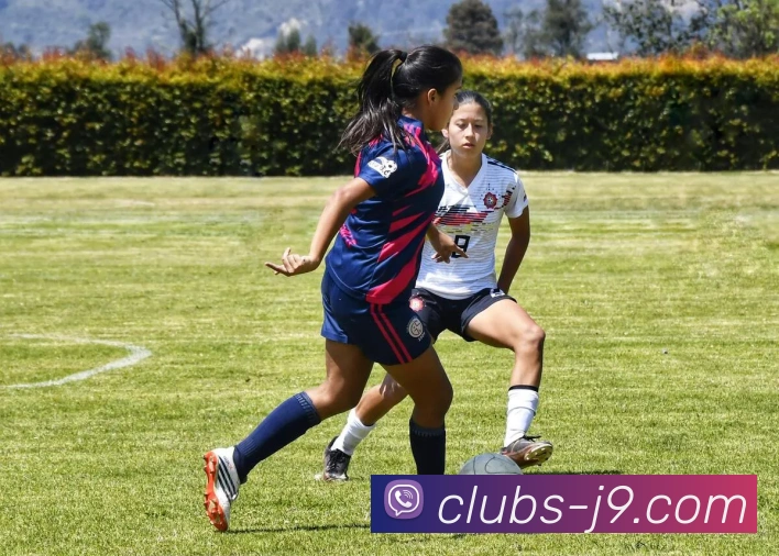 J9国际站官网品牌故事